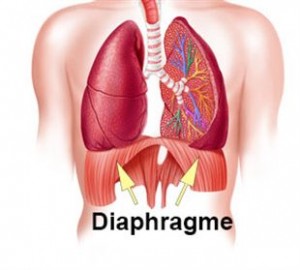 Yogalavie - diaphragme